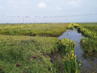 Vragenlijst voor uitgifte natuurgronden NBC